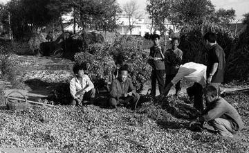 1986年，一18岁的山东莱西小伙参军入伍，原本是冲着装甲车去的，结果因为是初中