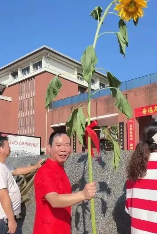 全国各地的高考成绩陆续出来了，那些在考场穿旗袍陪考的家长们，请你们晒晒自己孩子的