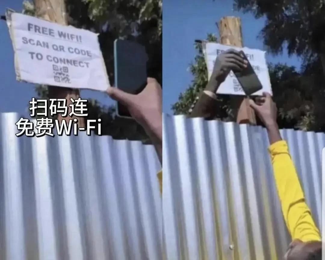 就没失手过[看]