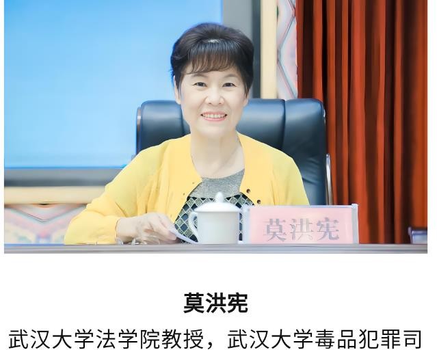 武汉大学法学院莫教授的论文真的让人大跌眼镜，她的论文不仅在法理上站不住脚，也已经