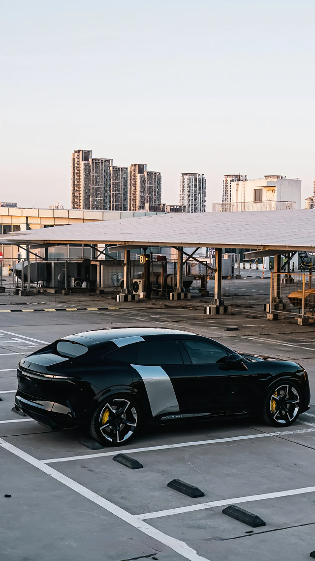 06提车先加护板，参考问界
阿维塔车主群一个武汉一个西宁，都是头铁不装护板，都是