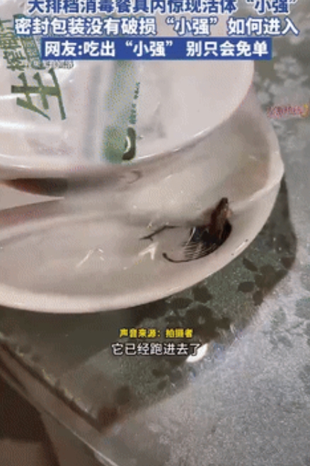 开水烫碗”的含金量还在上升！广东，男子去餐厅吃饭，不料准备拆开餐具时，却看到恶心