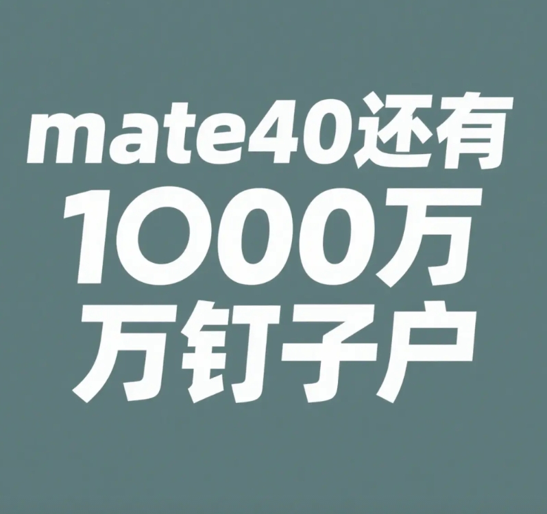 震惊了，到现在还有1000万mate40钉子户！

今年5月16日，何刚在西安电
