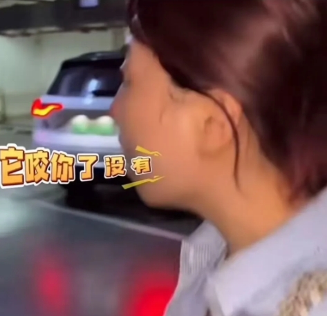 丹阳车库杜宾犬这事明明很简单的事情，非要搞得那么复杂，就两点。

1、狗主人道歉