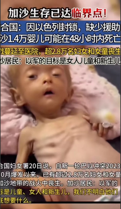 联合国，你这个说人话不干人事的机构，别的本事没有，除了开会就是开会，还能干点人事