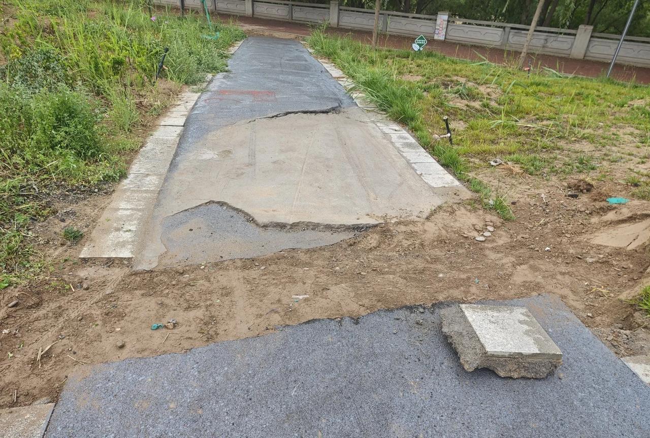 南滨河路路北雁白大桥到白兰高速桥这一段，新近建了一个带状公园，目前一期工程已经开