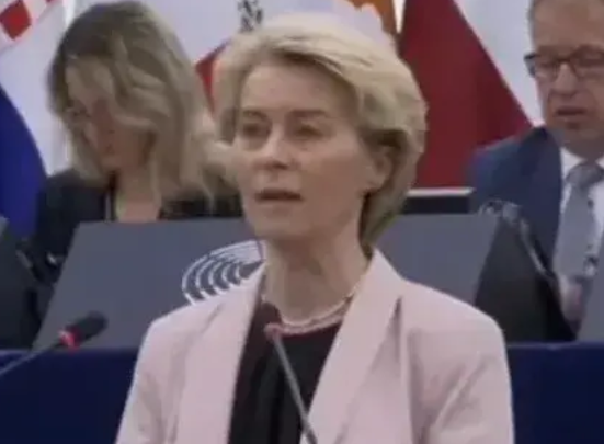 欧盟就是十足软蛋。美国对欧盟加征关税，冯德莱恩竟然表示这并非由欧盟挑起，美国加征