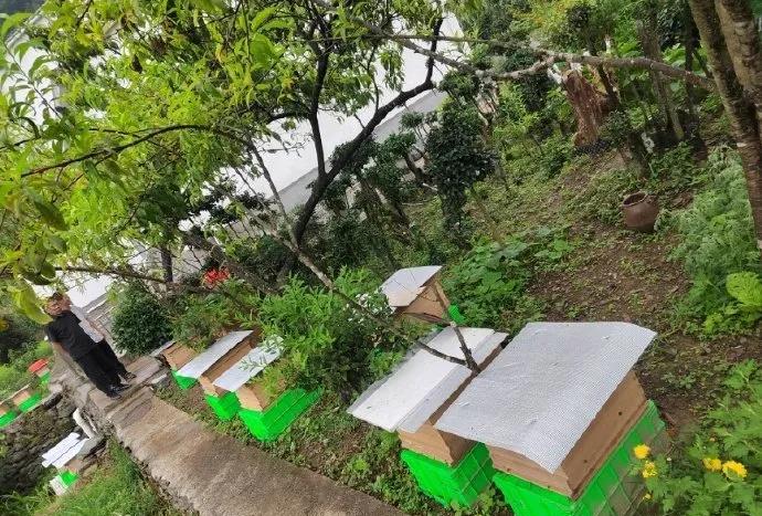 干部素质提升年·竹溪县天宝乡：“三大行动”淬炼干部硬核本领
在省市县“干部素质提