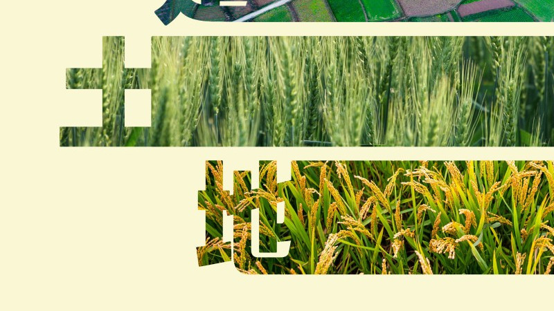 守护生命线：从土地日看耕地保护与集约发展