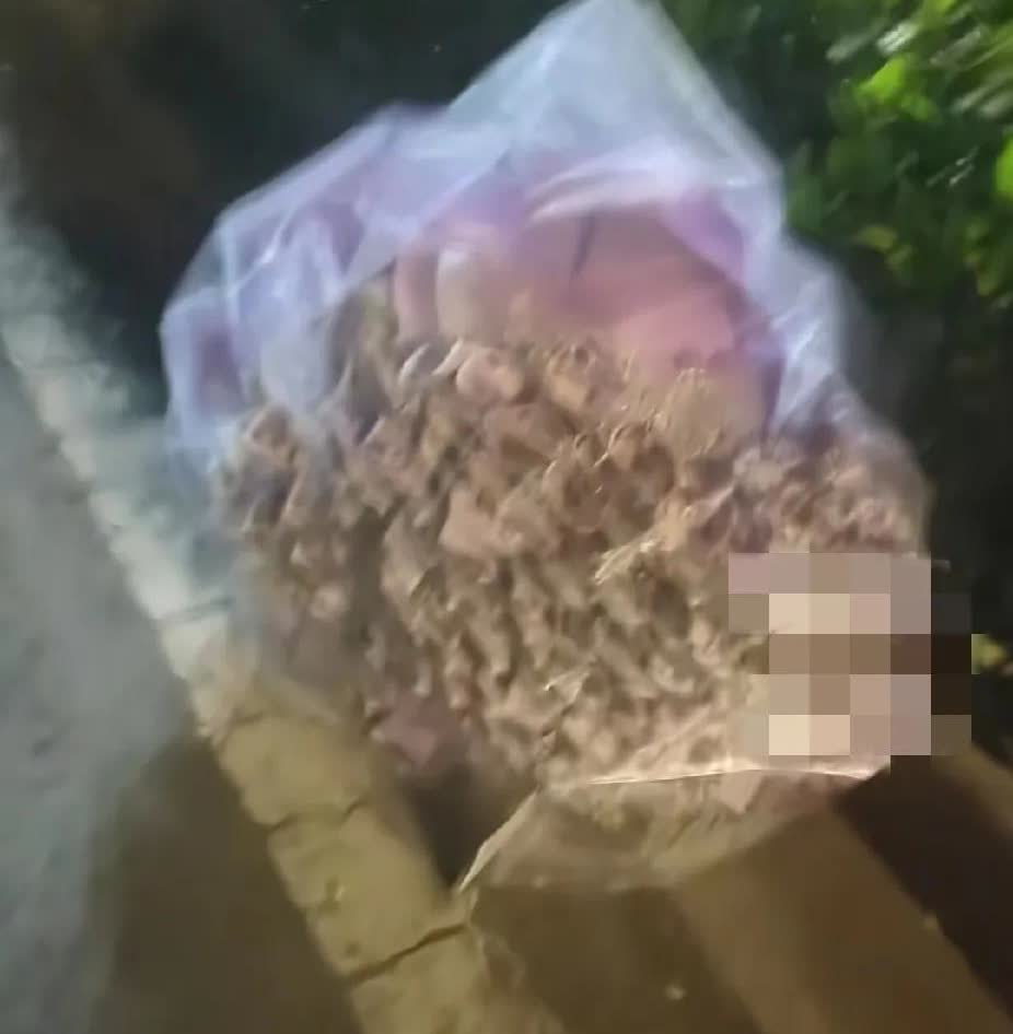 男子520当天捡到一束“有钱花”，回家送给老婆，老婆很开心。5月20日，江苏苏州
