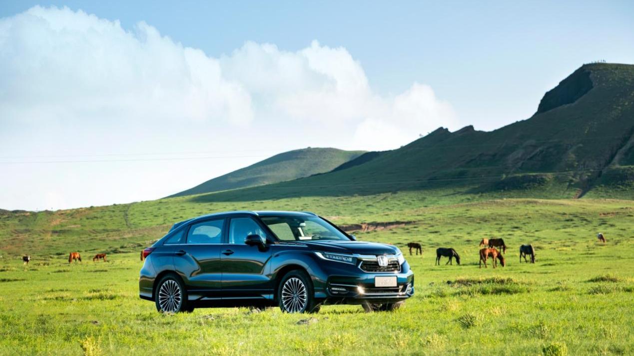 告别选车焦虑！冠道一口价送你一个移动暖客厅