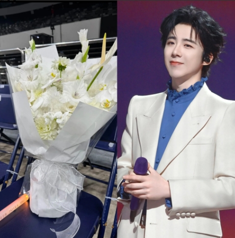 杨天真说的太对了！有些人红是有原因的，看到刘宇宁演唱会上的白色花束，我瞬间就懂他