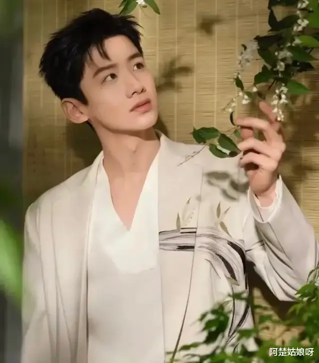 白敬亭春晚《上春山》舞台独秀: 春分时节, 央视宣传力捧?