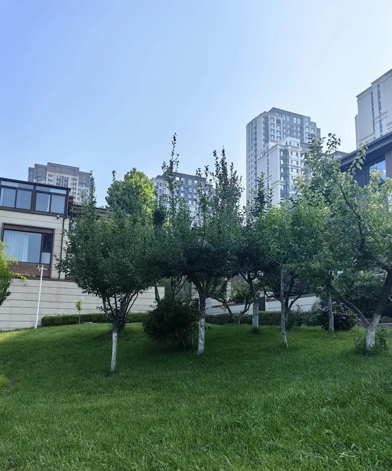 我和老伴靠退休金生活，出身贫寒，养成了省吃俭用、小小气气的习惯。
一年多的时间，