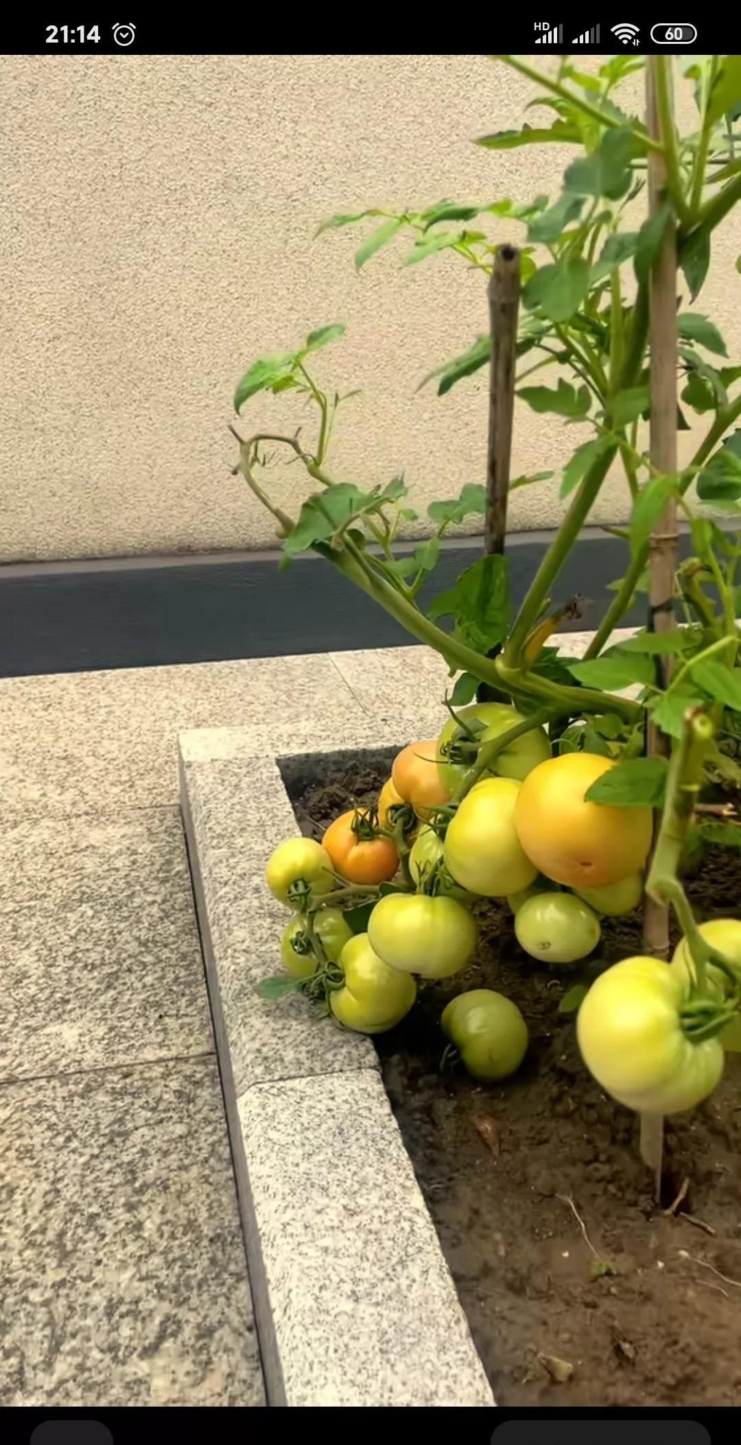 我和老公结婚前没用过他一分钱，和他结婚后全职9个月，自己存款补贴生活，上班后也是