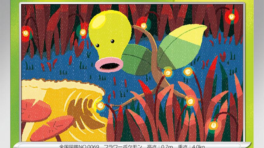 宝可梦卡牌（喇叭芽、口呆花、大食花）