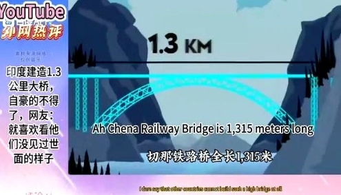有消息称印度新增了一座长1.3公里的大桥，此事让印度全民倍感自豪。

这座大桥采