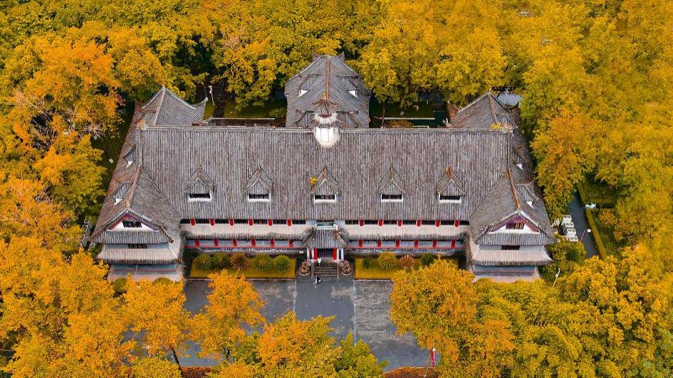 国内高校分享第38期：重庆大学-重庆大学学生竟可免费留学欧美？