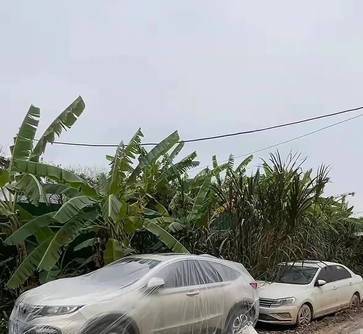 路上又瞧见“一年两箱油”的车了。这类车主总爱把车停在免费的露天场地，收费停车场压