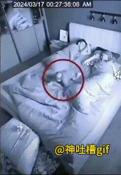 你们俩互换场地吗？监控下面，宝宝从床上跑下来，紧接着狗狗上床睡觉，夫妻俩发现宝宝