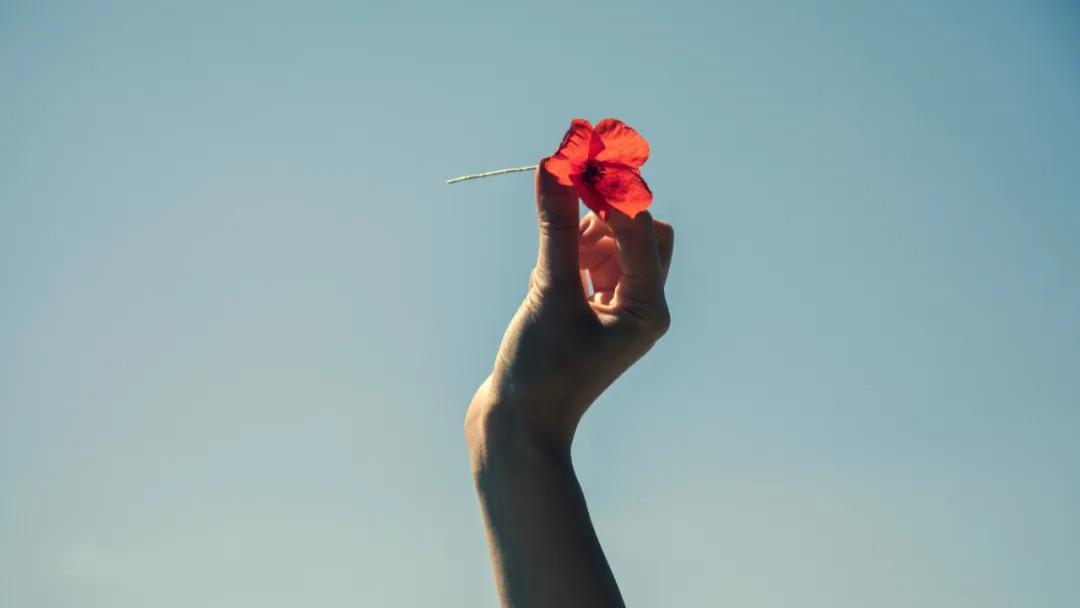 亲密关系中对方说你会留后路，是因为没在你身上图到好处