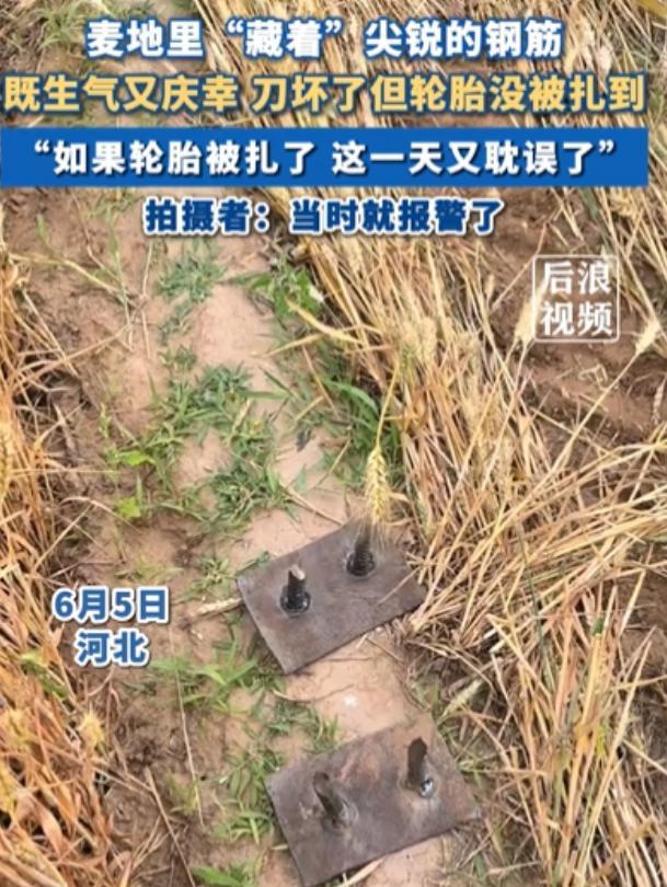 “太坏了！”河北一名女子，收麦子时，突然“哐啷”一声，她赶紧停机下车一看，地里竟