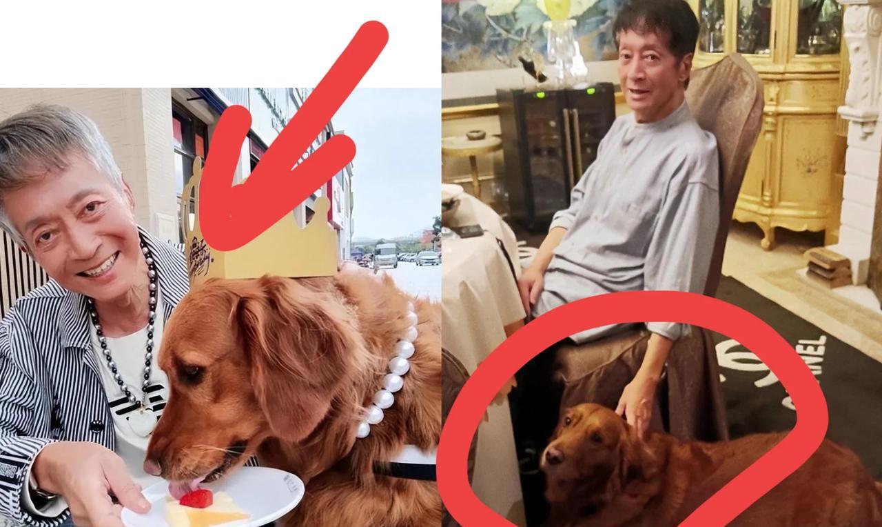 方刚走了
他最放心不下的除了义子王瀚祥，还有王瀚祥的子女，最重要的还是陪伴晚年的