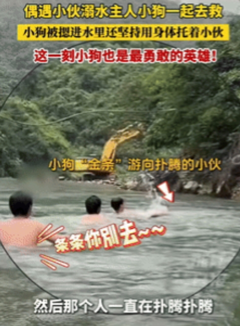 “狗狗救命！”6月12日，广东一名男子落水，朋友下水施救也被困，危急时刻，才7个