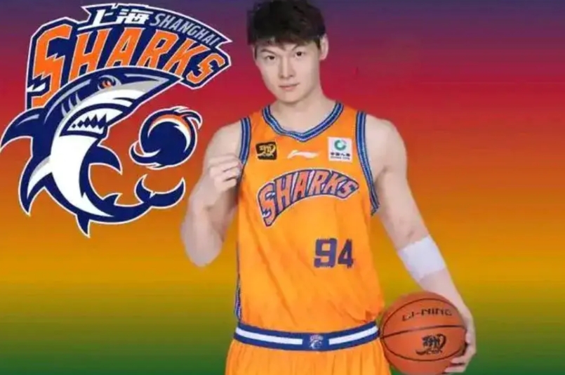 上海男篮与王哲林本赛季合同到期，上海男篮面临非常尴尬的时候，如果上海男篮另外再买