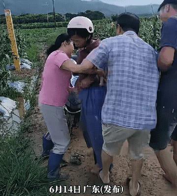 女子骑电动车到别人地里偷菜被抓，主人家拿绳子将小偷绑了起来。对于主家的做法，有人