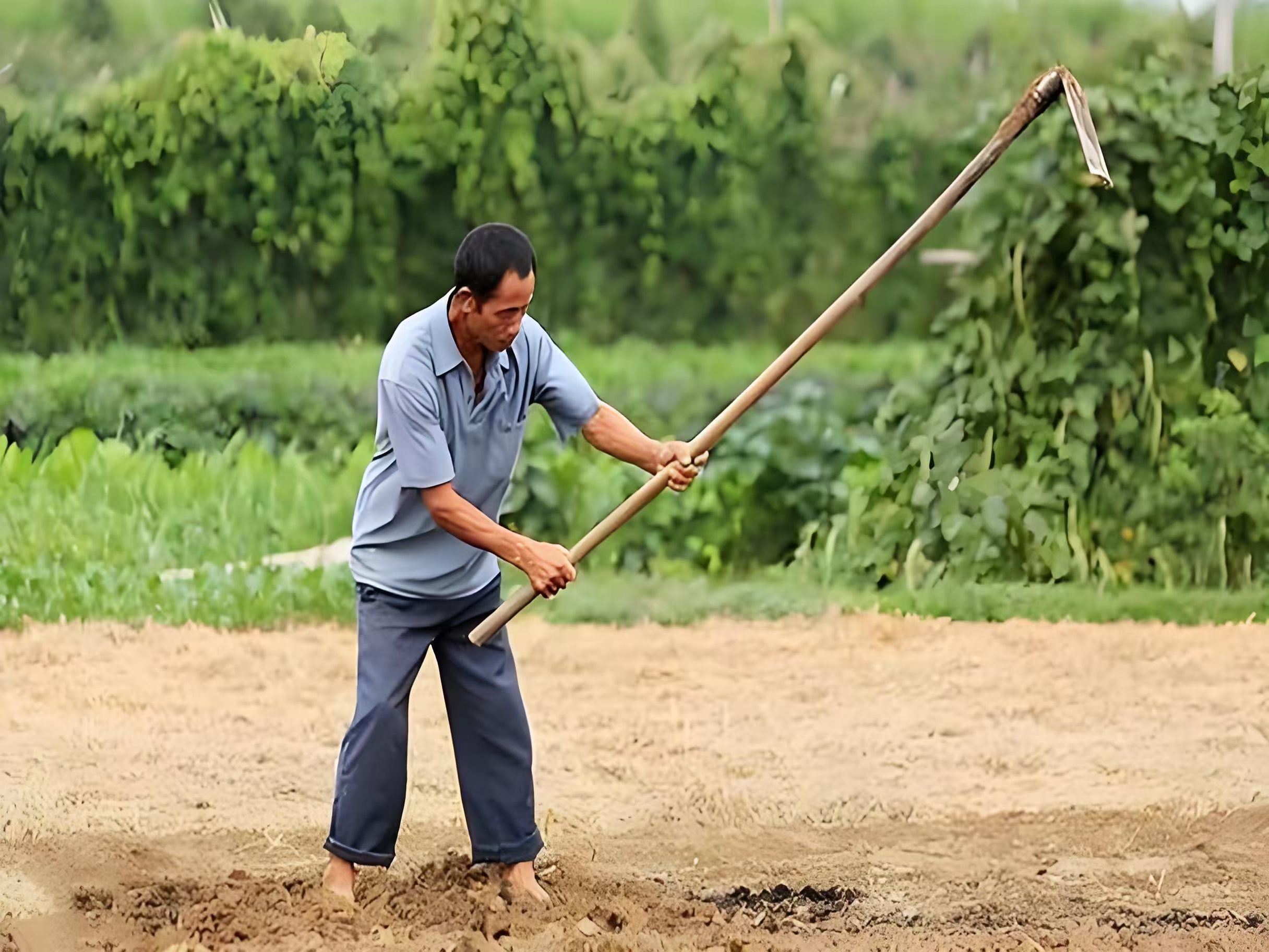 村里人都说继父会远走高飞，但他选择留下。继父的坚持和善良，使四个继子从吃不上饭到个个过上好日子。