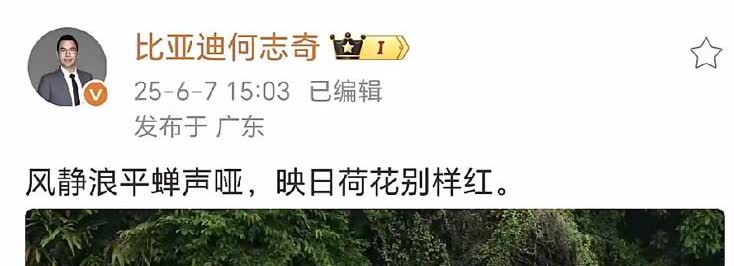 比亚迪副总裁何总疑似回应吉利高管杨学良汽车以卷为荣言论

现在汽车市场确实已