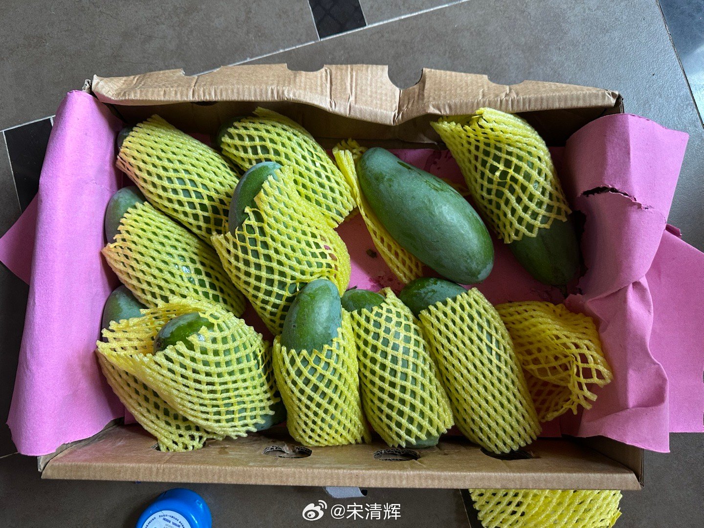 #芒果熟了# 广西芒果迎丰收，金果满枝香万里。今天，收到一位记者朋友从广西果园寄