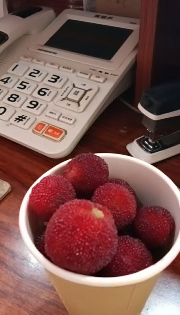 是金子总会发光，可我是老铁🤣🤣