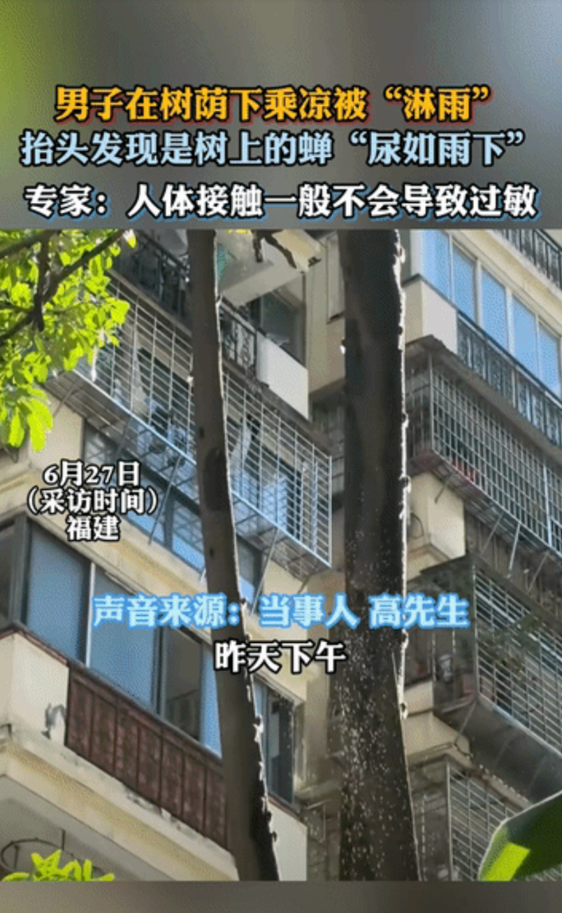 福建，男子在树底下乘凉，突然感觉头顶像下雨一样，身上瞬间被淋湿，抬头一看，原来是