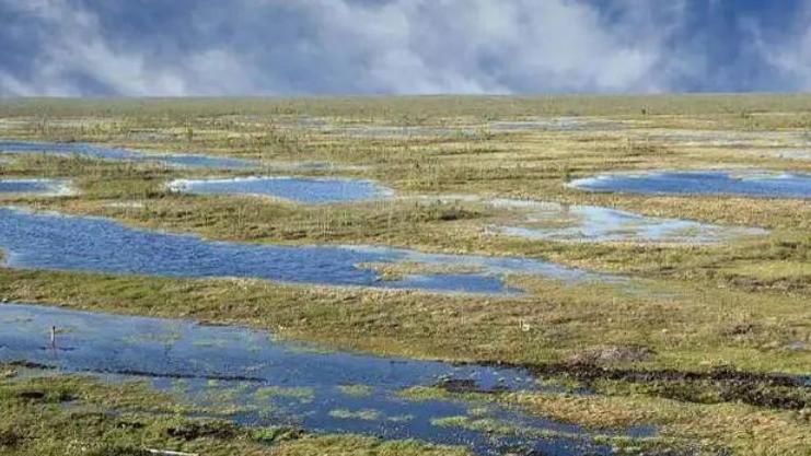 曹东义：破西医“构成论”之茧，探中医“精气神”之妙