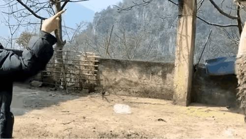 你怎么跑了呢，不是应该和它对着干吗[石化]。