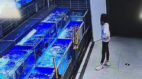 女子为买特价鱼将老板活鱼踩死
