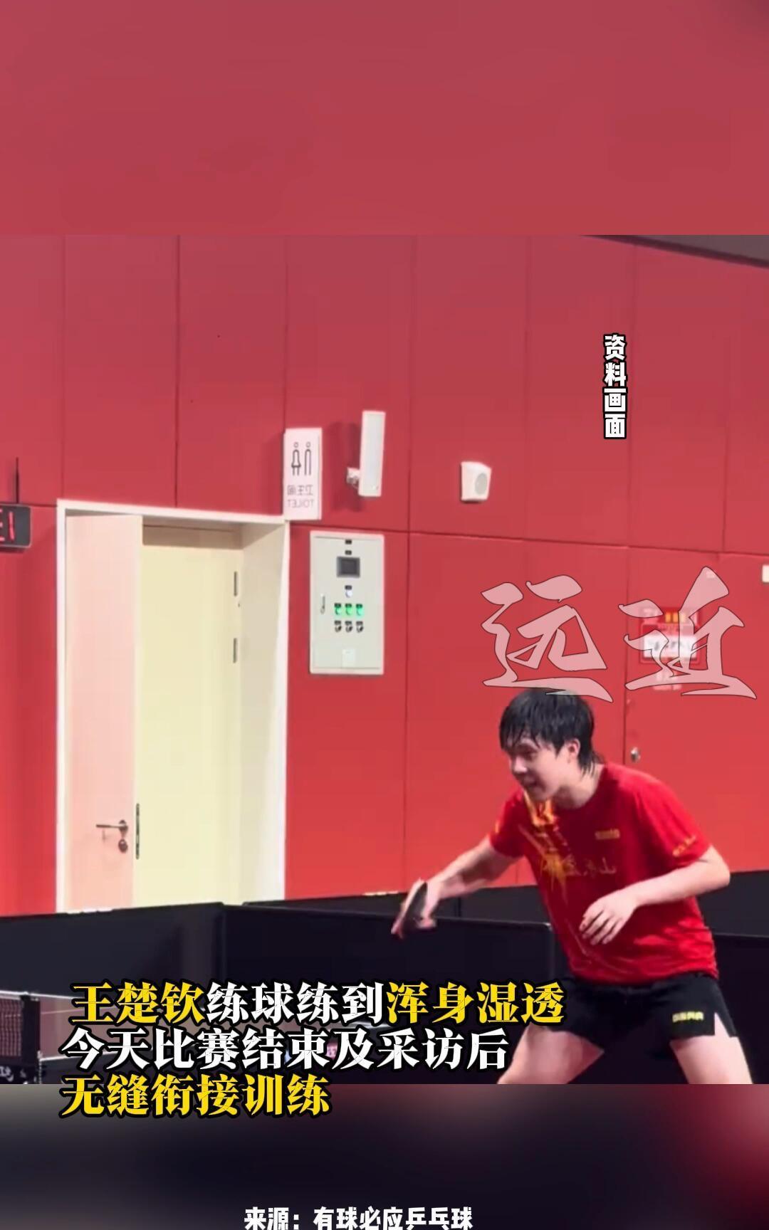 王楚钦今天也够辛苦的，训练到全身湿透，头发湿漉漉的，太拼了吧！
乒超比赛，相当于