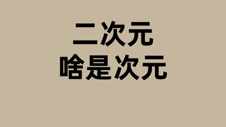 二次元的次元是啥？
