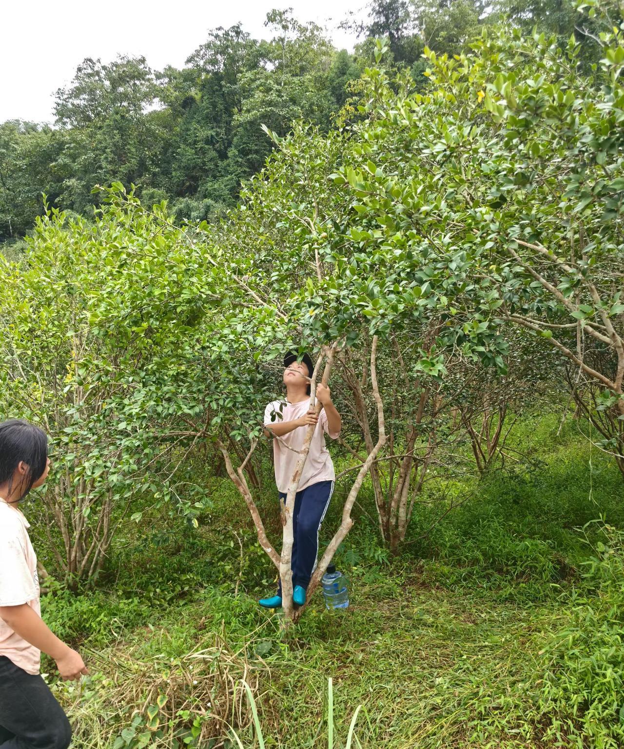 中国军人要像打乒乓球一样，横扫欧美日韩对手。
中国科学家要像国家举重队一样咬牙坚
