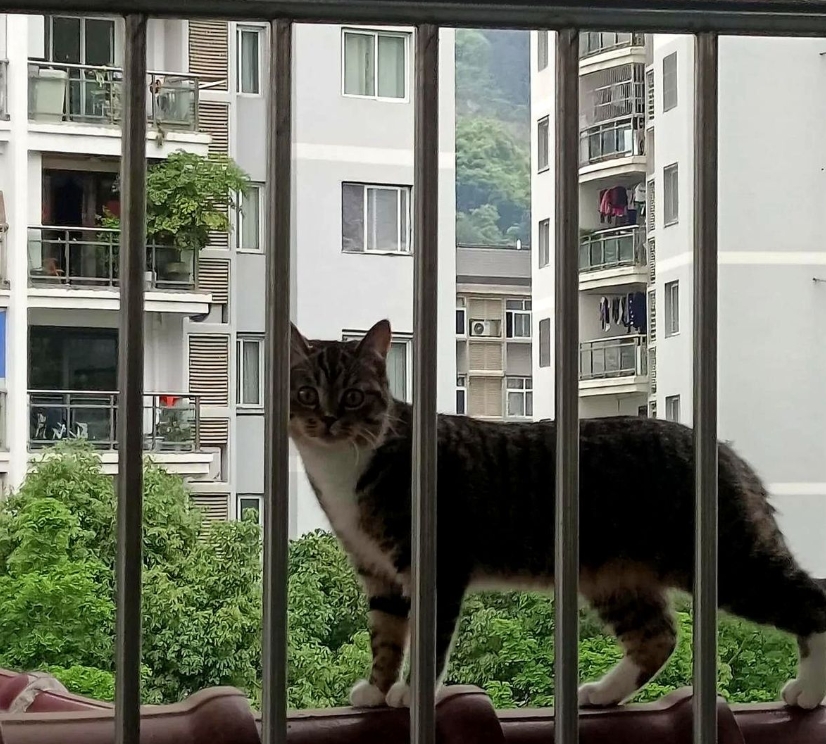 安妈说自己没有亏待阿姨一家，你看在我们这吃的好，住得好，关键把叔叔照顾的也很好。