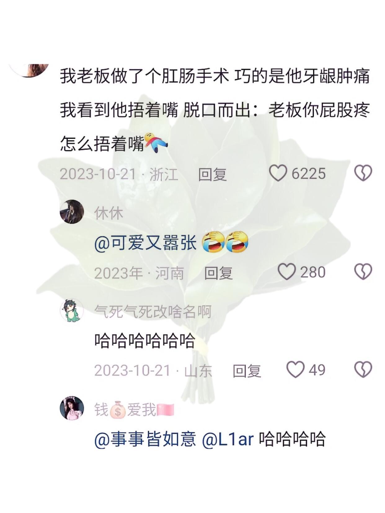 不信邪又去逗猴子