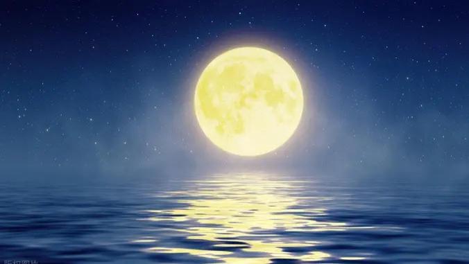 我的个人说明书：紫曾经月过