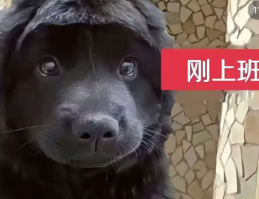 上班哪有不疯的，硬撑罢了