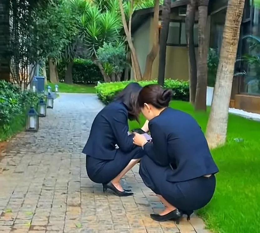 谁又能了解做中介的悲哀，跑来跑去笑嘻嘻。