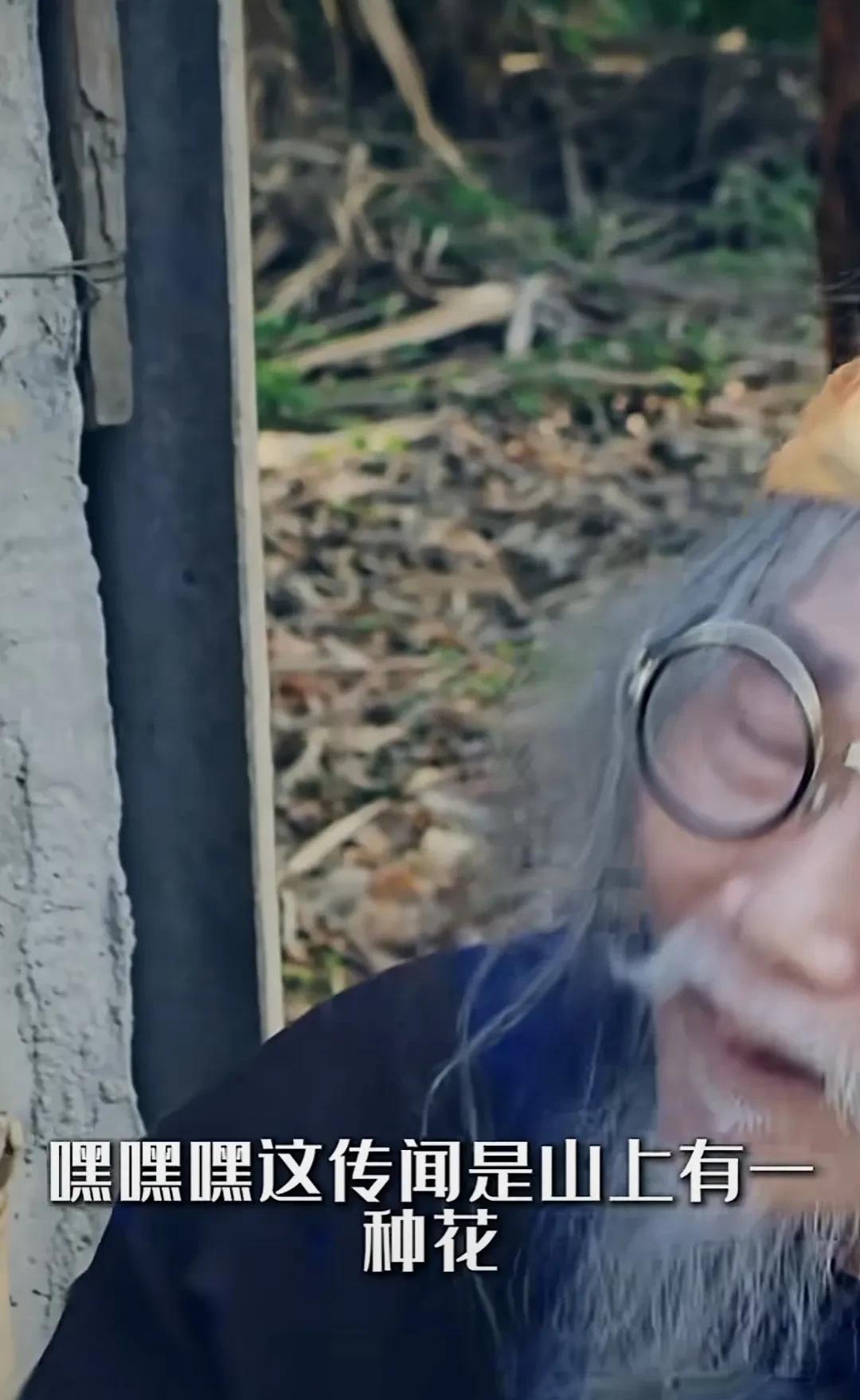 我还以为我在看动画片，小蛇蛇那么可爱怕它干啥。金刚大战巨蟒只有名字是真的，这部短