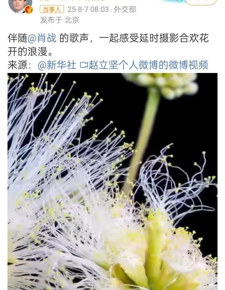 赵立坚转发了战战的歌