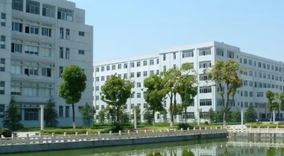 其实真正的人才，在如今中小学教育中，实际上是扼杀了他们的创造能力。就像一个班里面