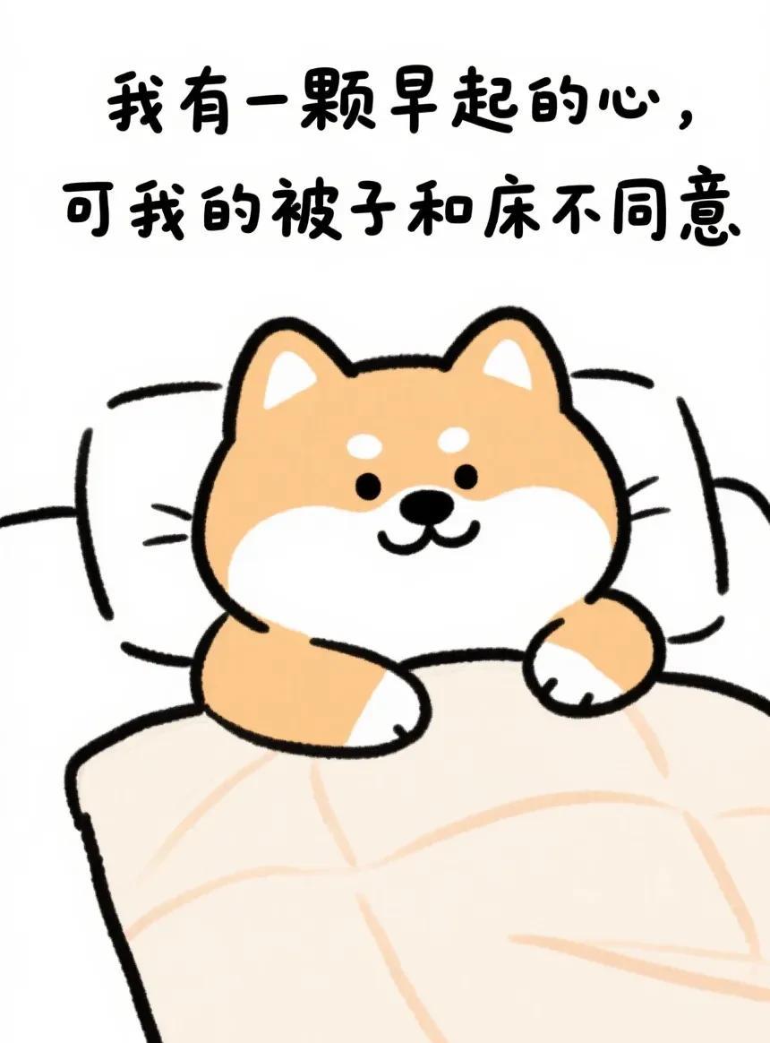 如果你人到中年
还能一觉睡到大天亮
不用闹钟不用叫醒
恭喜你
你心真大
这样挺好